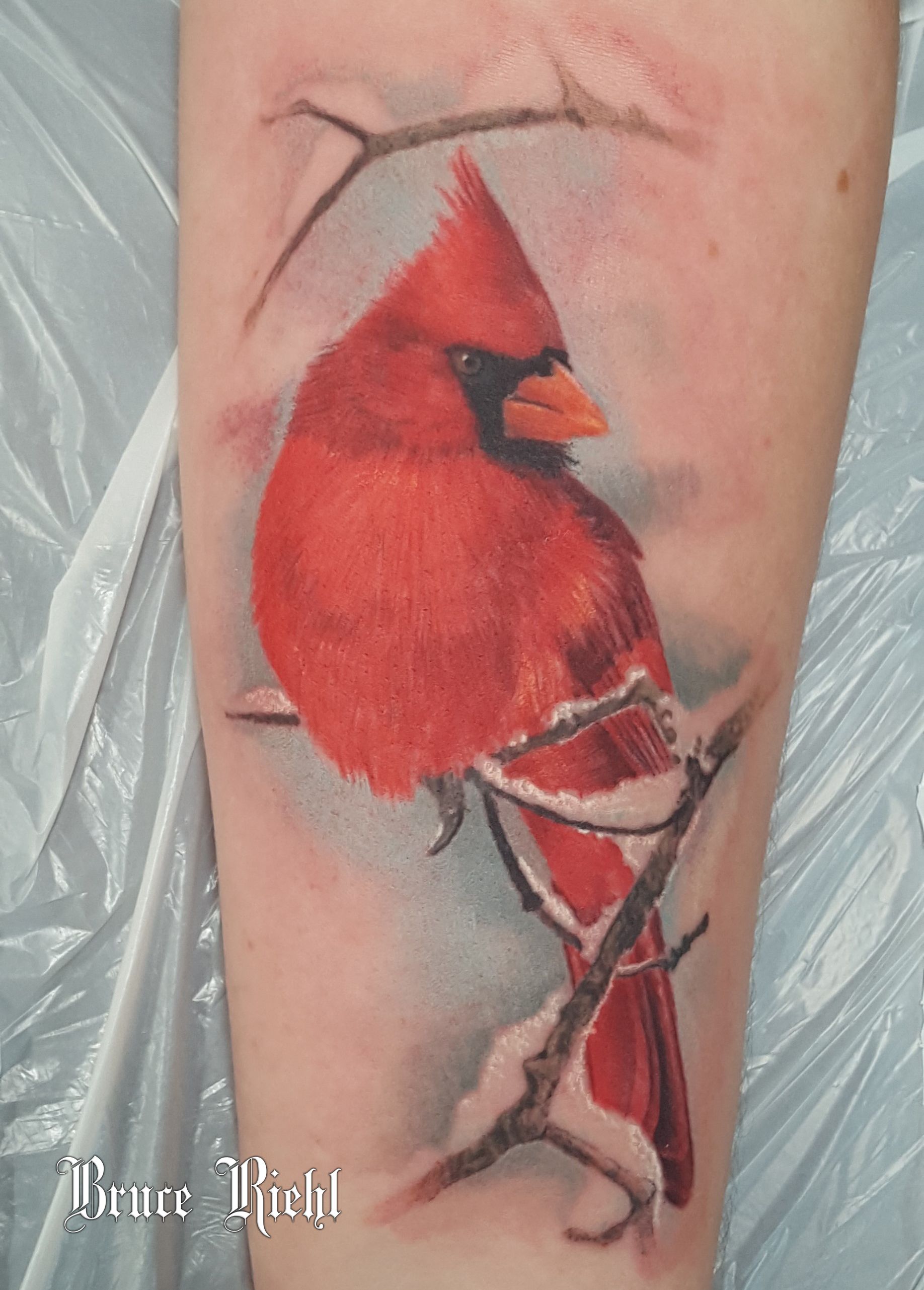 Realistic Color Tattoo Of A Red Cardinal Done By Bruce Riehl Cardinal