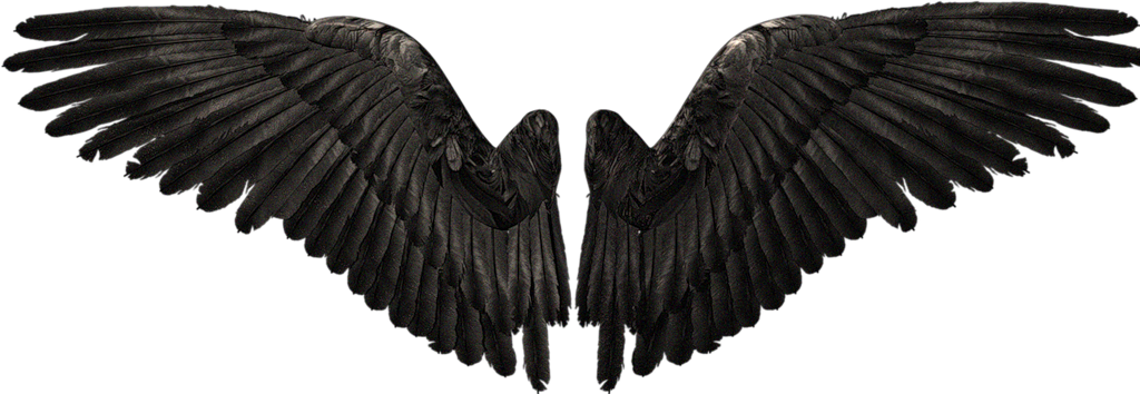 Realistic Devil Wings Png