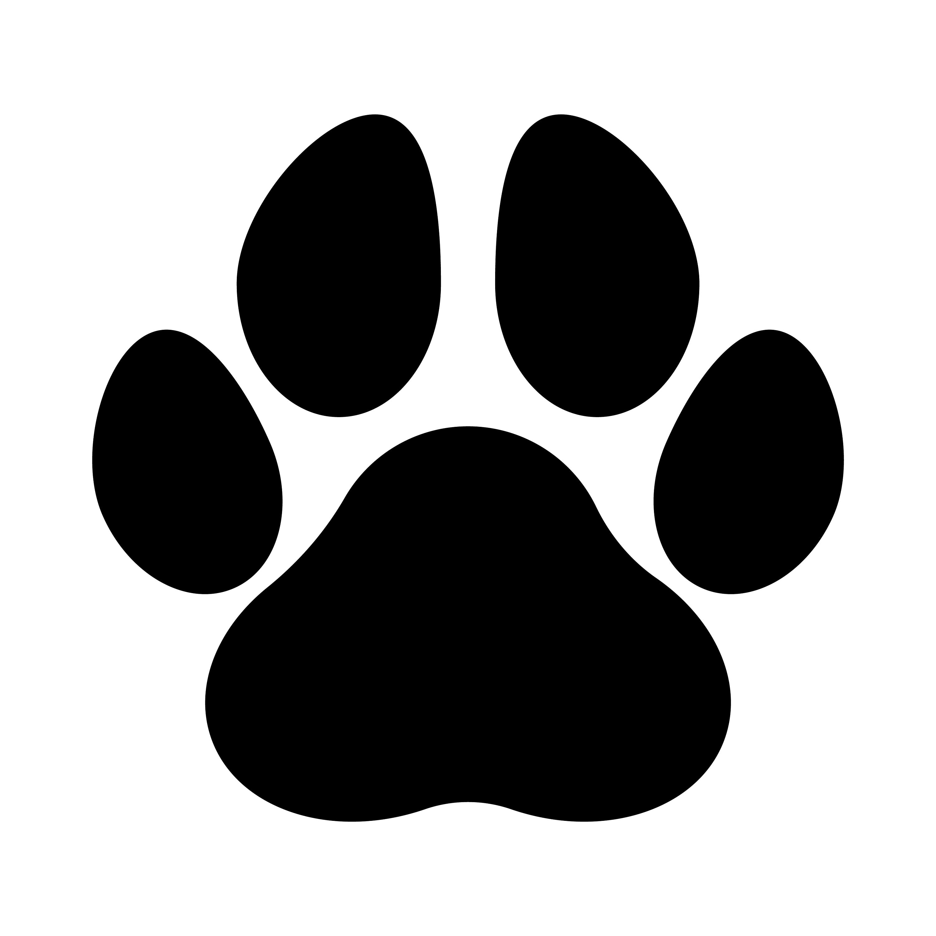 Realistic Dog Paw Prints