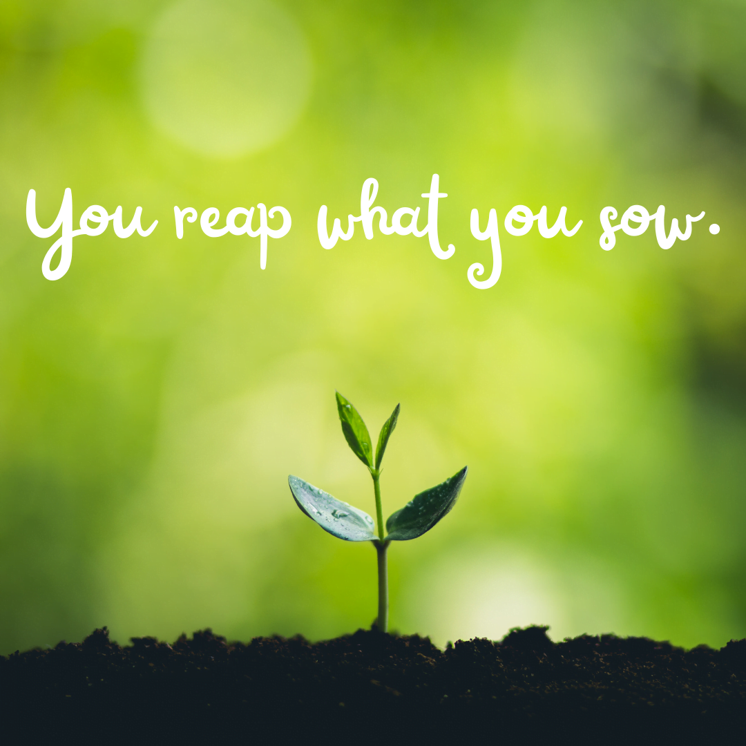 Reap What You Sow Quotes Shortquotes Cc