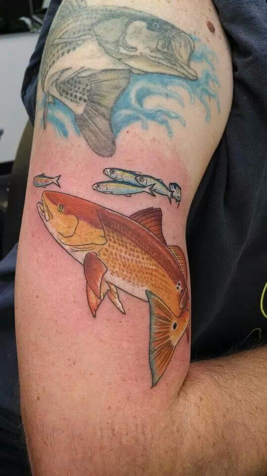 Red Drum Fish Tattoo: Meaning and Designs for Enthusiasts