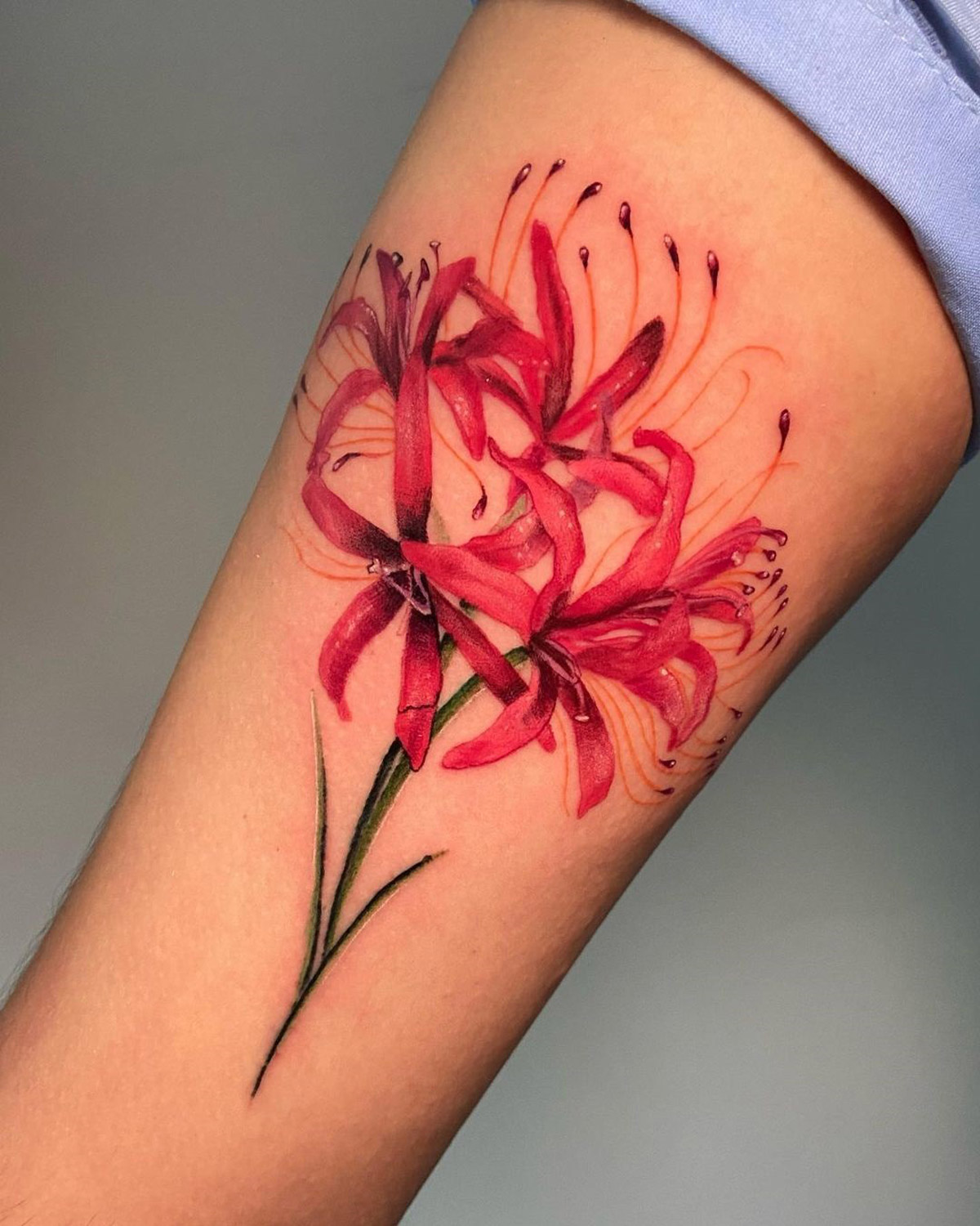 5 Meanings Behind Red Spider Lily Tattoos