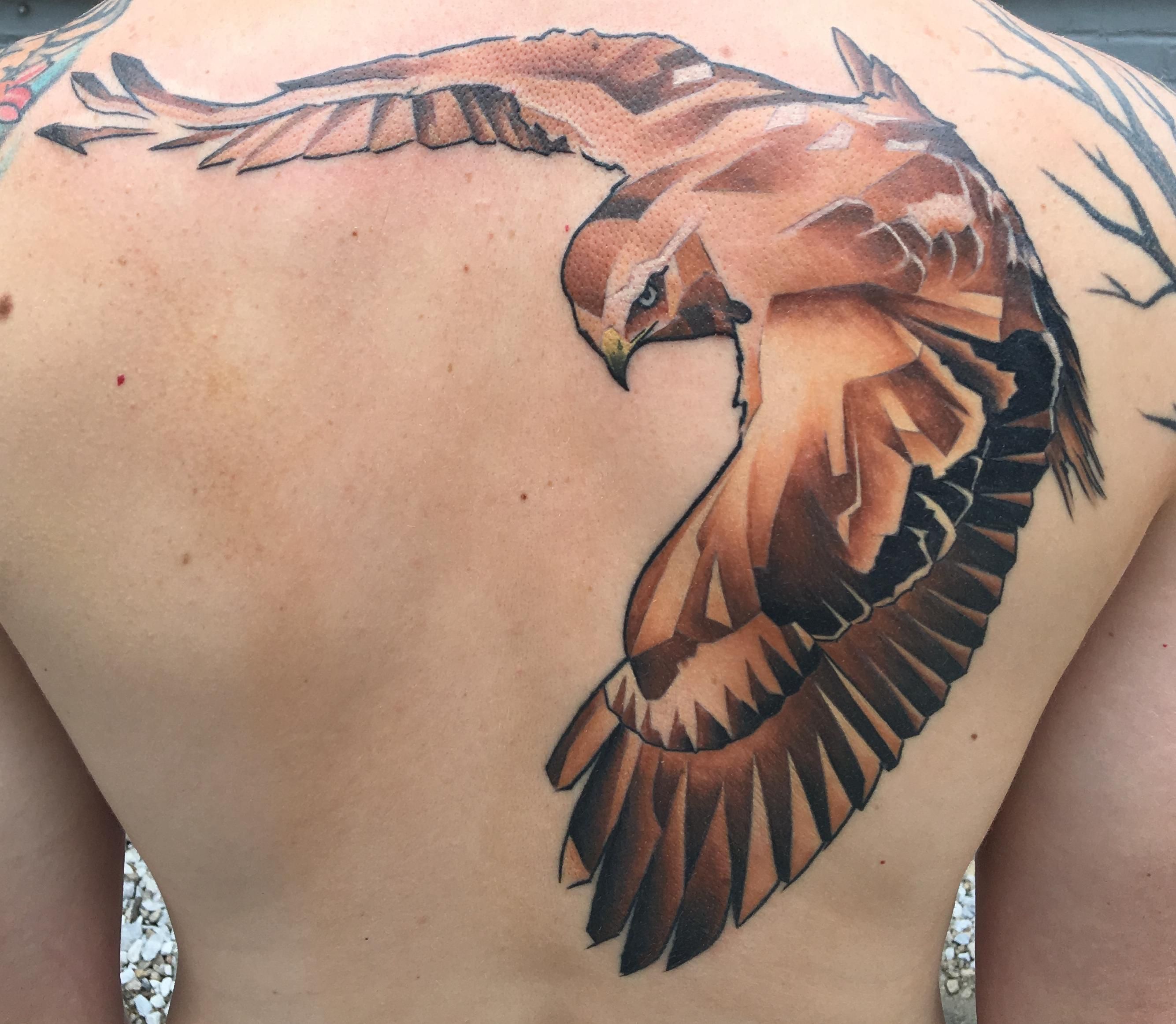 5 Symbolic Designs for a Red Tailed Hawk Tattoo