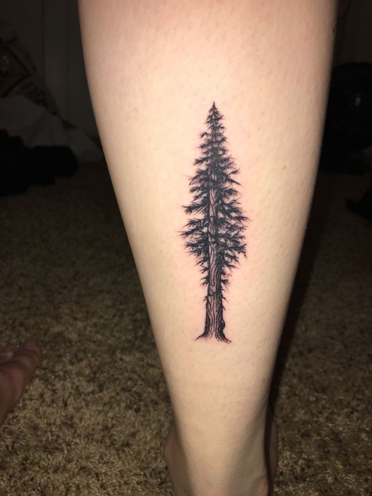 Redwood Tattoo Inspired by Brian Jacques