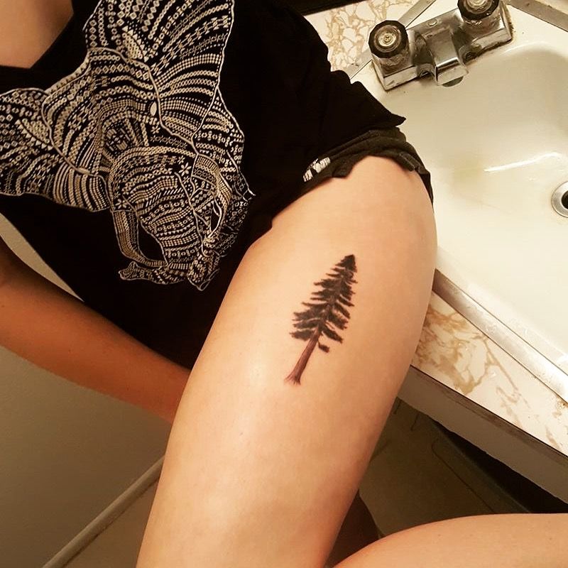 Redwood Tattoo Tattoos Pinterest Redwood Tattoo Tattoo And Body Art