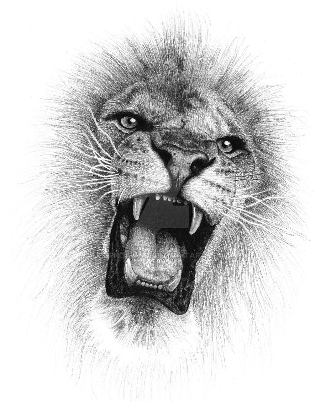 Roaring Lion Tattoo Drawing