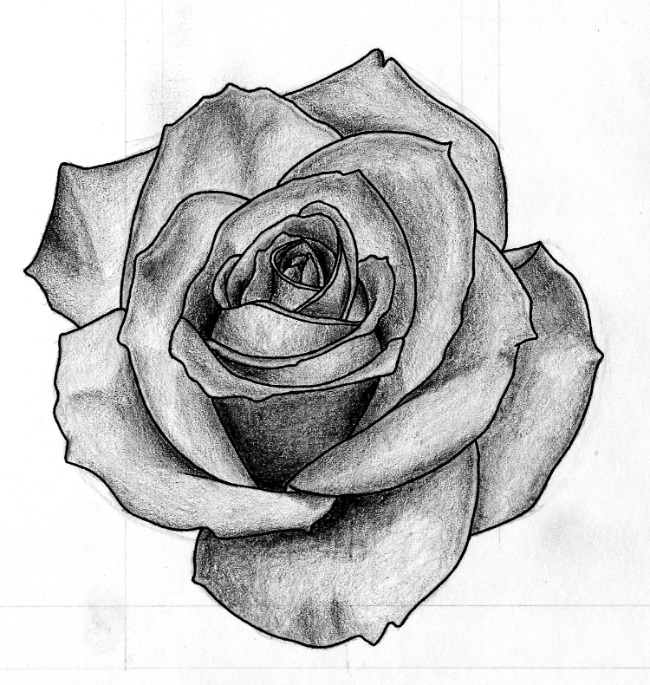 Stunning Rose Black and White Drawing Ideas