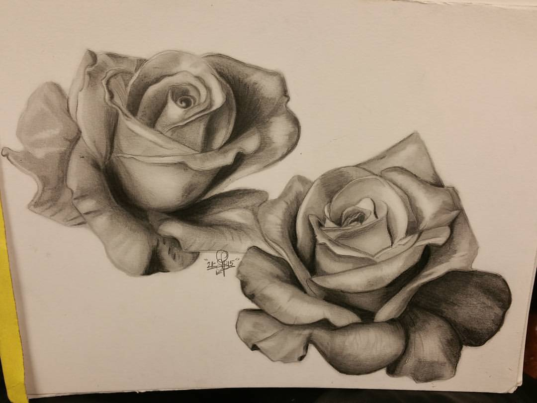 Rose Pencil Drawing How To Draw Beautiful Rose Realistic Rose