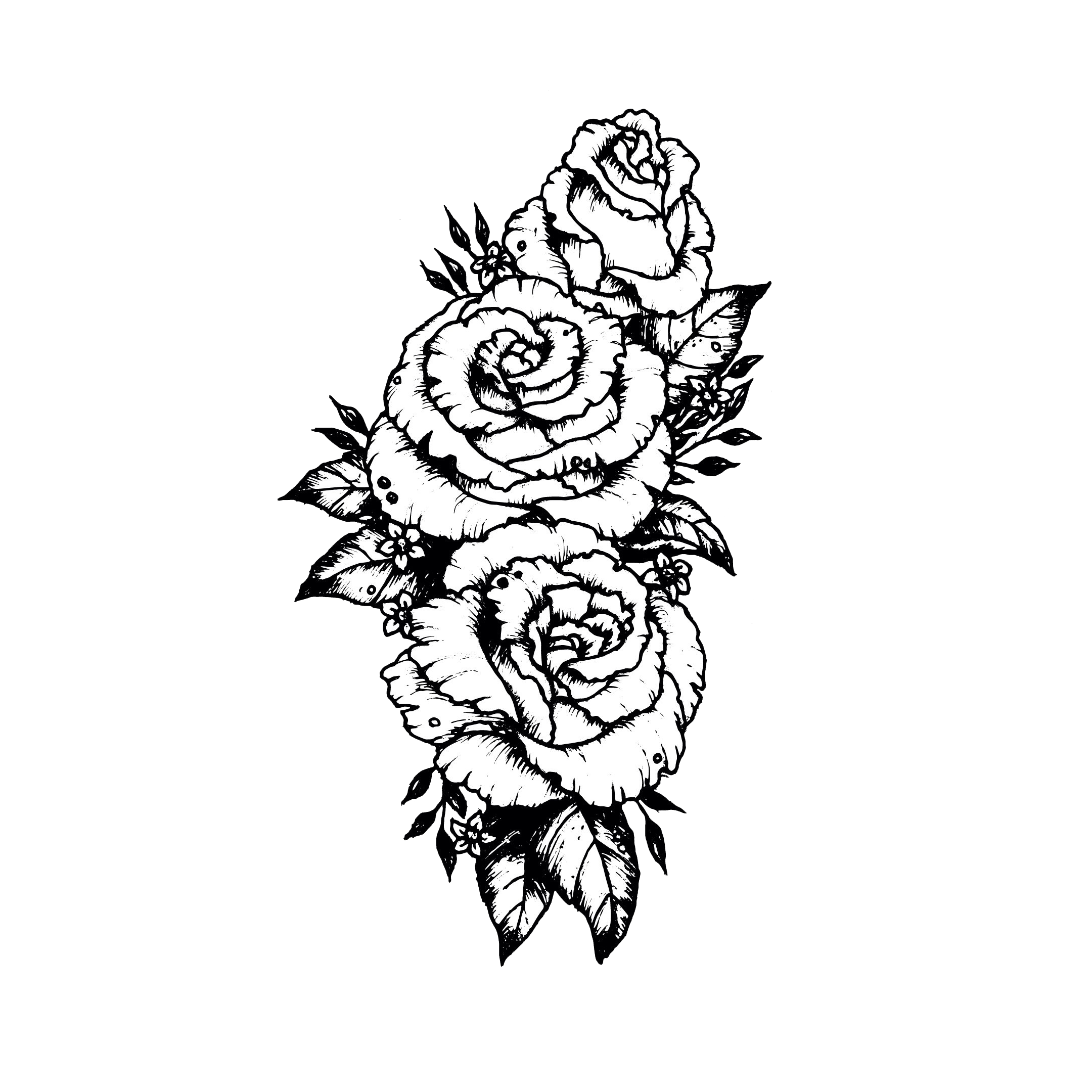 Rose Tattoo Png Transparent Images Pictures Photos