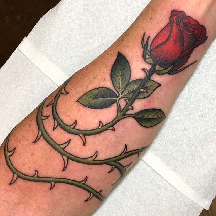 Rose Thorn Vine Tattoos Tattoo