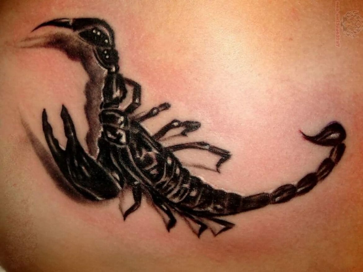 Scorpio Tattoos for Men: Designs and Meanings Revealed