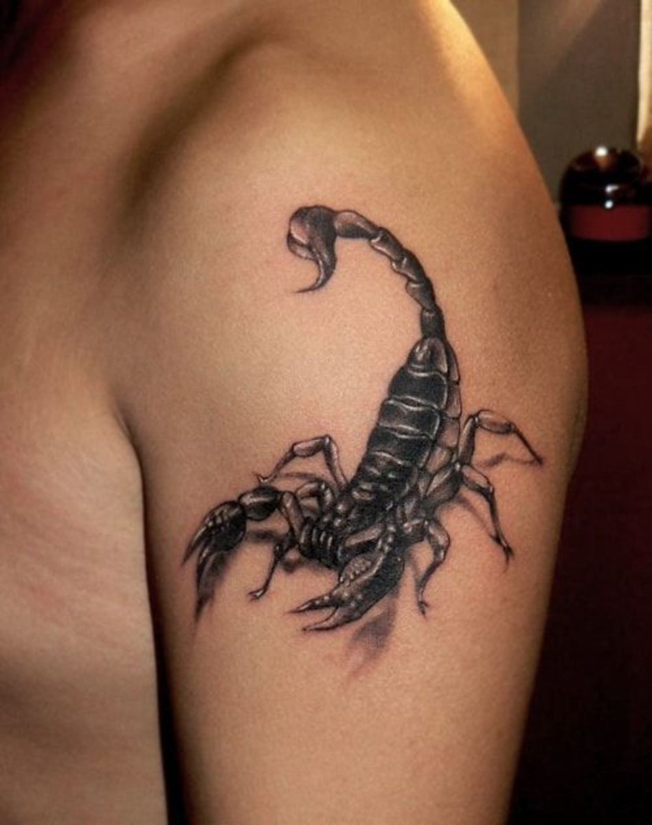 Scorpion Tattoos Tattoo Designs Tattoo Pictures Page 2