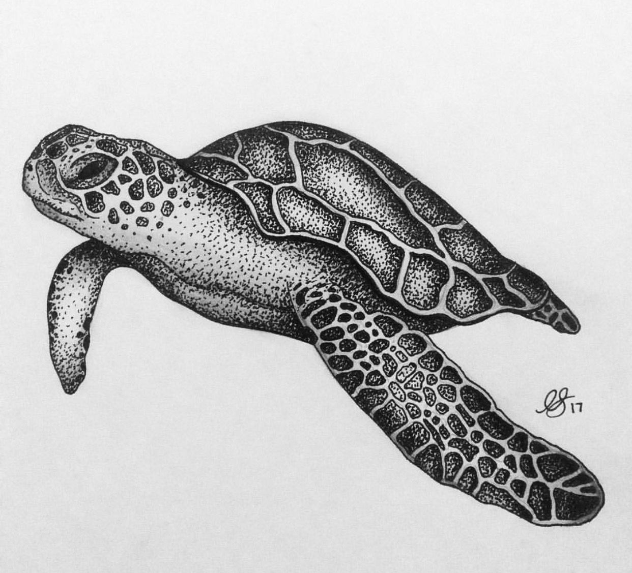 5 Creative Ideas for Sea Turtle Tattoos