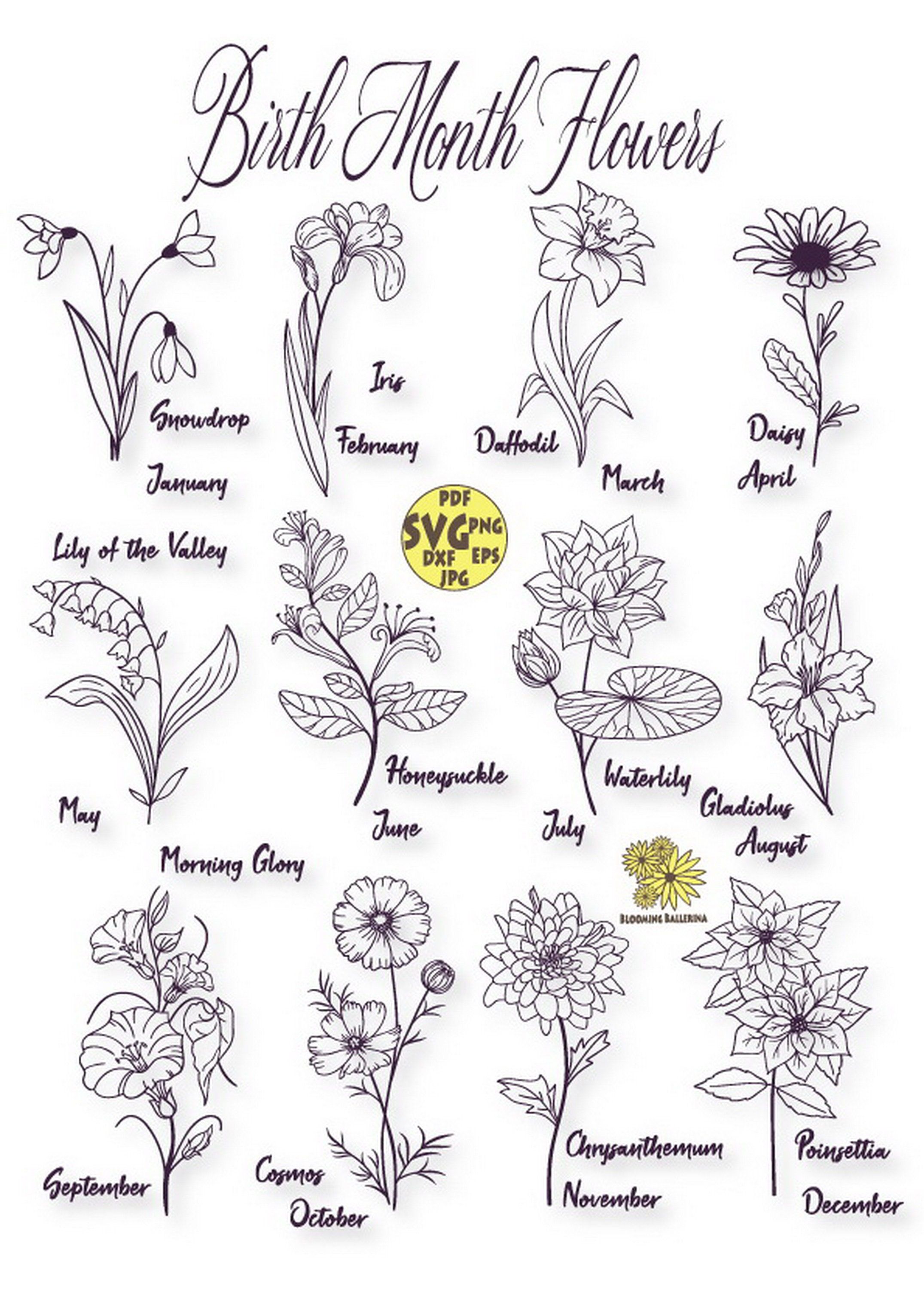 September Birth Flower Birth Month Flowers Birth Flower Tattoos