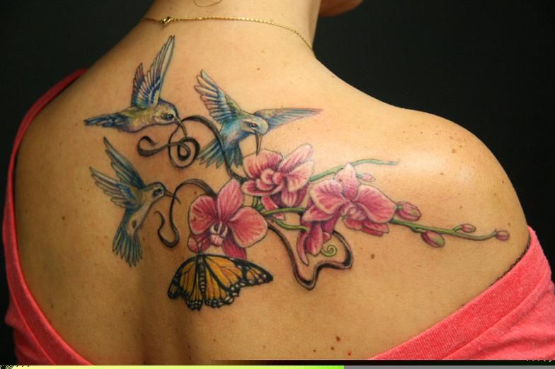 Share 53 Hummingbird And Butterfly Tattoo In Cdgdbentre