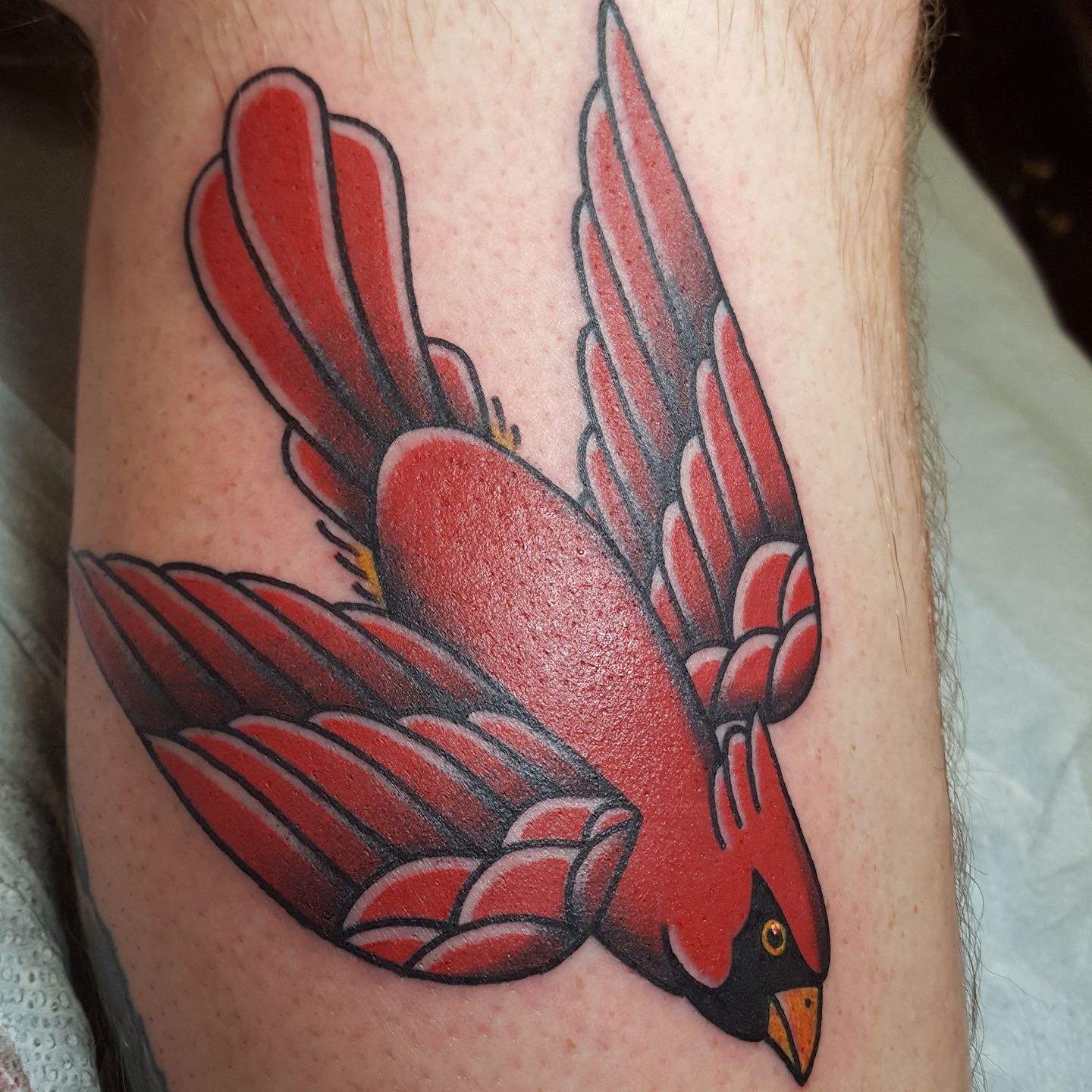 Share 64 Traditional Cardinal Tattoo Latest In Cdgdbentre