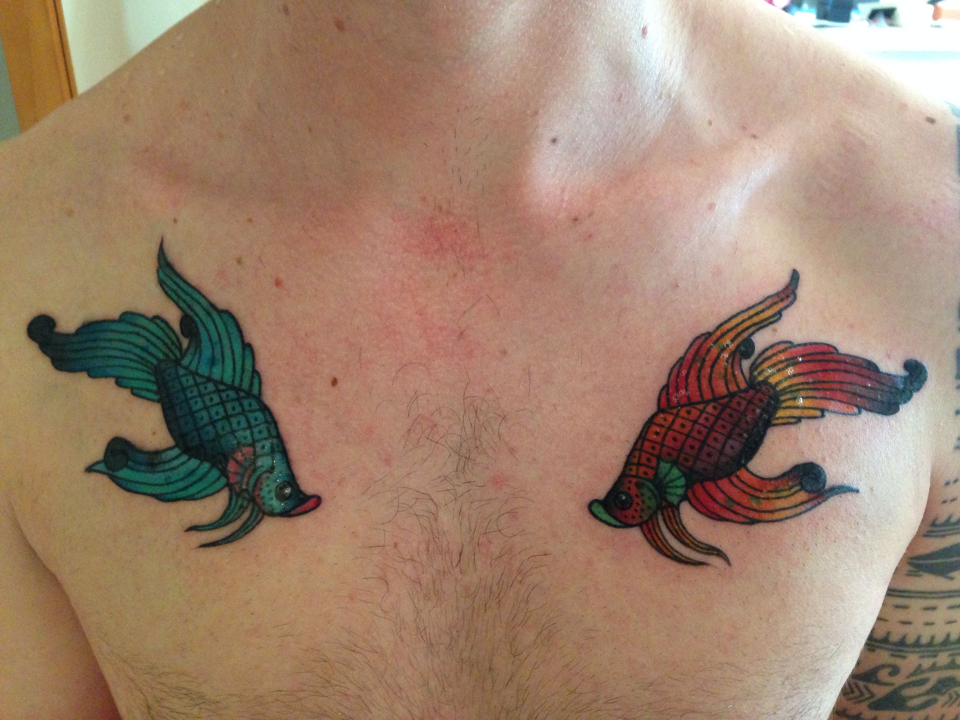 5 Stunning Siamese Fighting Fish Tattoo Designs