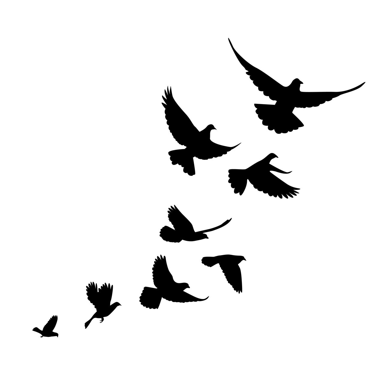 Silhouette of Birds Tattoo: Symbolism and Style Guide