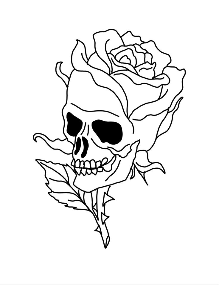 Skull and Rose Tattoo Outline: Meaning and Design Tips