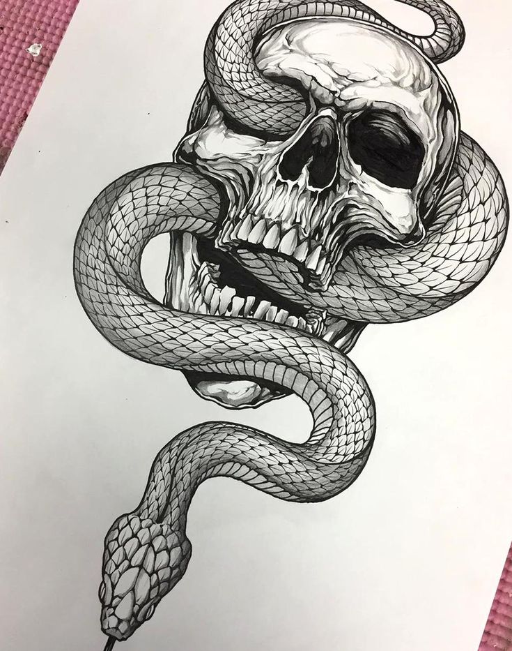 Skull And Snake Tattoos