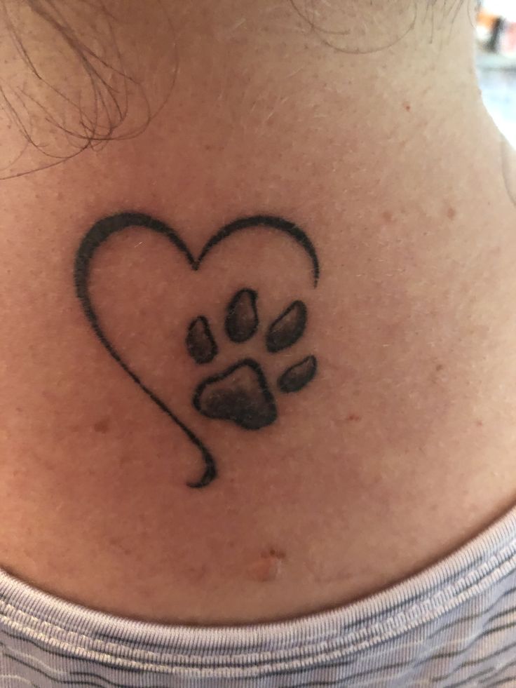 5 Adorable Small Dog Paw Tattoo Ideas