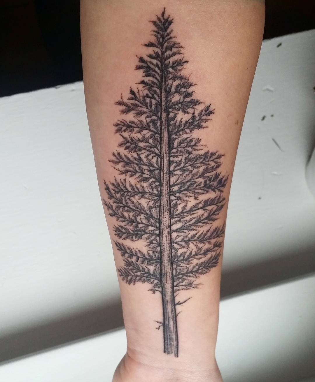 Small Pine Tree Tattoo: Meaningful and Minimalist Ink Ideas