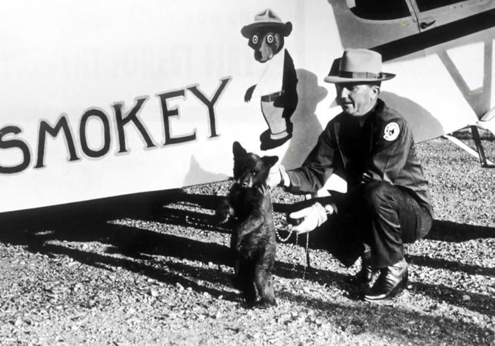 Smokey Bear Owes His Fame To The Taos Pueblo Firefighters Who Saved Him Columns Taosnews Com