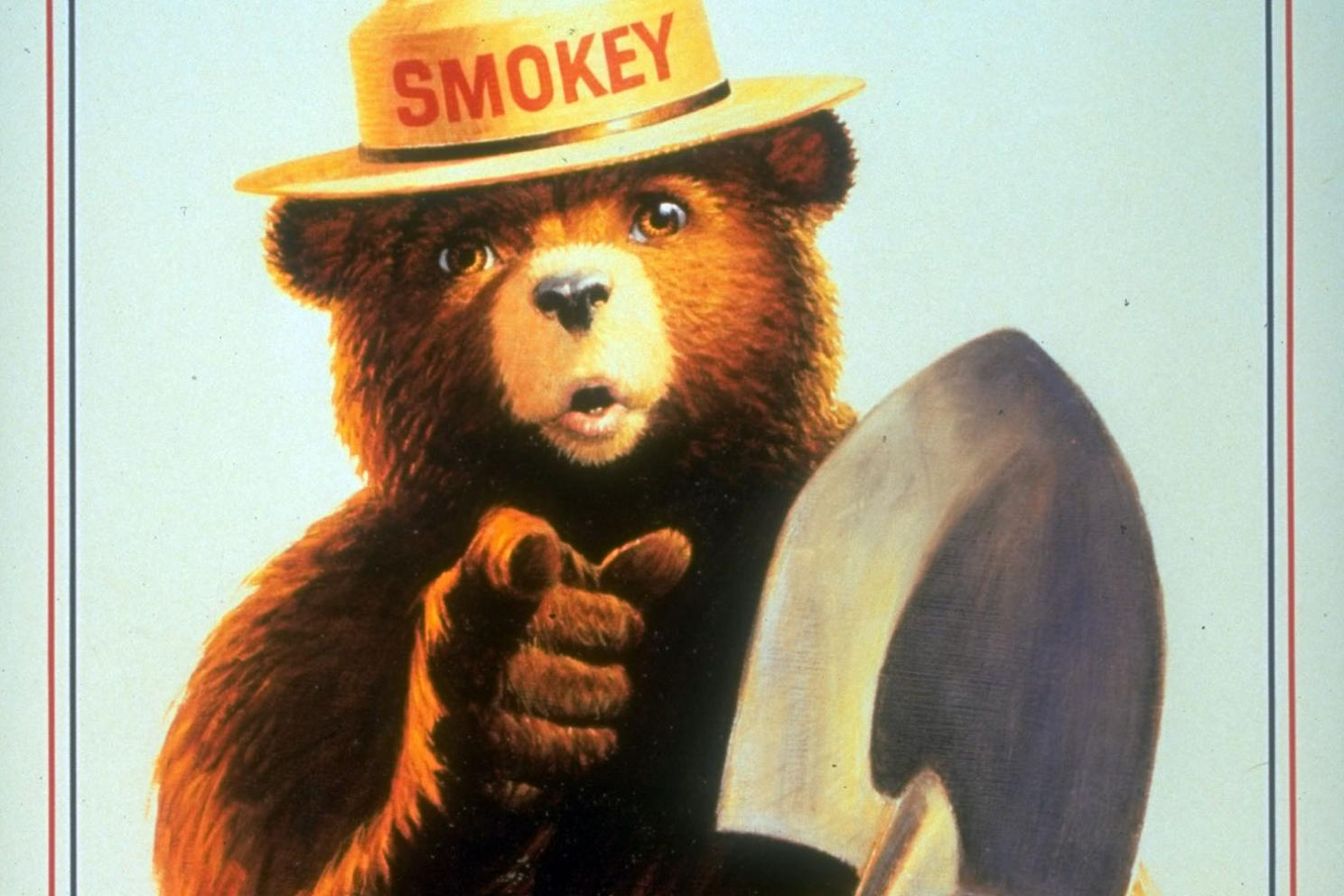 Smokey The Bear Sunglasses: Stylish Protection for Outdoors