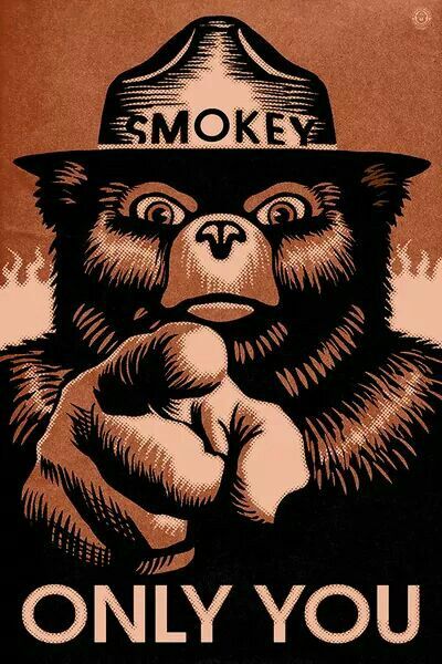 Smokey Wants You Bear Art Blue Art Prints Smokey The Bears