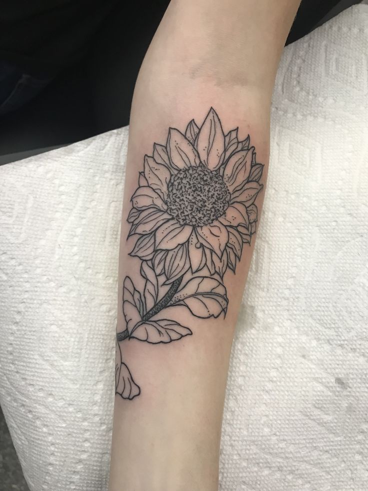 Sunflower Outline Minimalist Black Ink Lady Tattoo Sunflower Tattoo