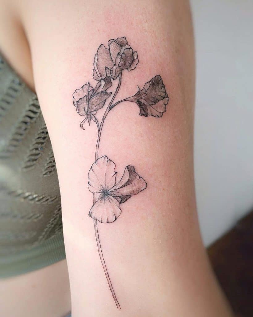 Sweet Pea Flower Tattoo Ideas And Their Meaning