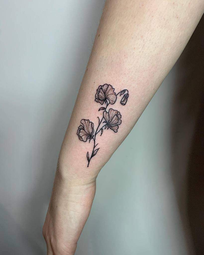 Sweet Pea Flowers Tattoo Sweet Pea Tattoo Designs Sweet Pea Tattoo