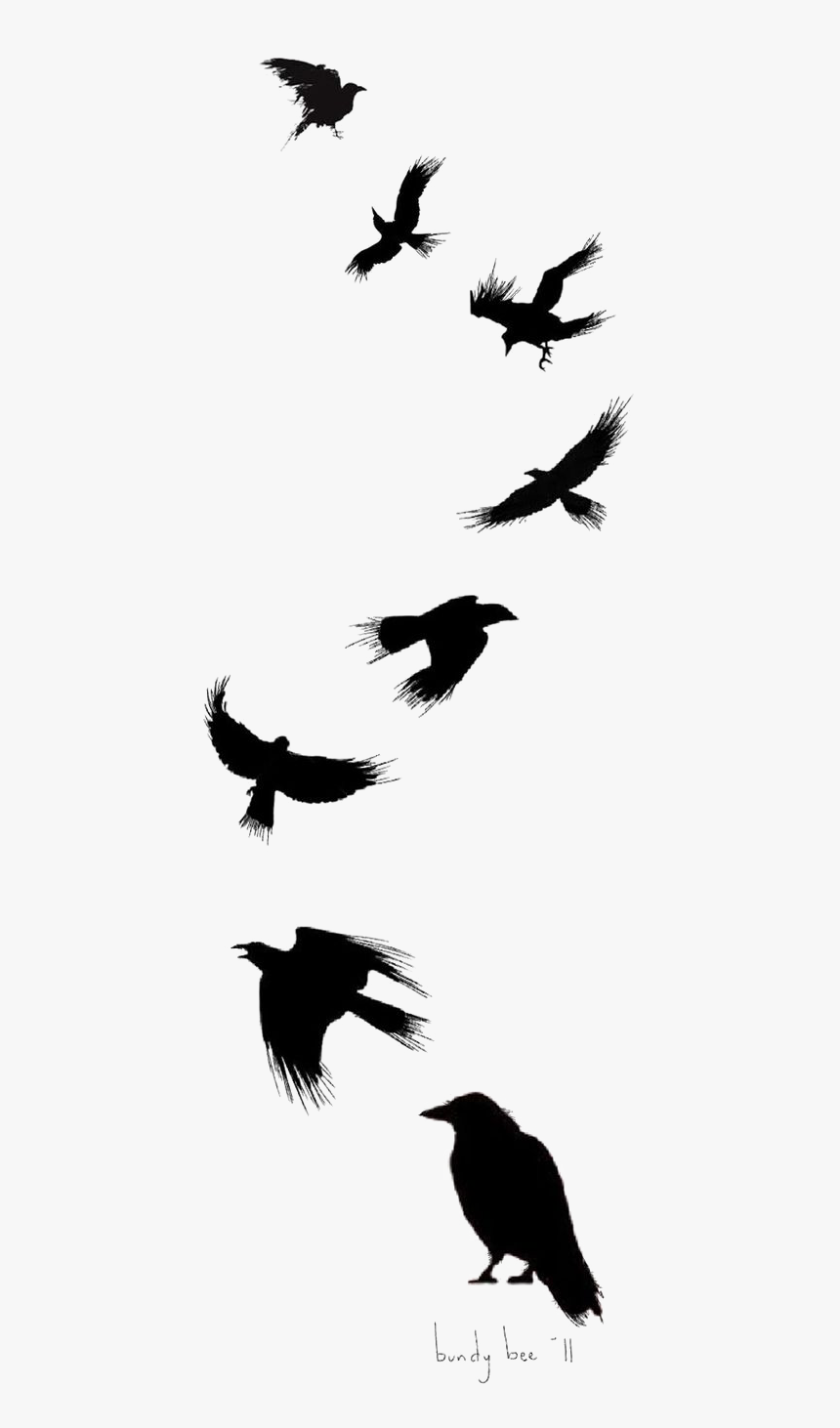 Tattoo Flight Crow Drawing Common Ink Bird Clipart Raven Silhouette