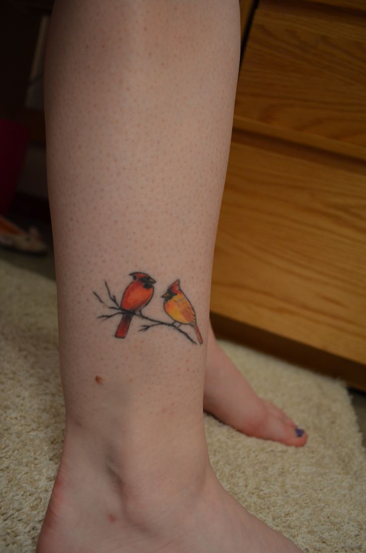 Cardinal Bird Tattoos: Vibrant Symbolism Explained