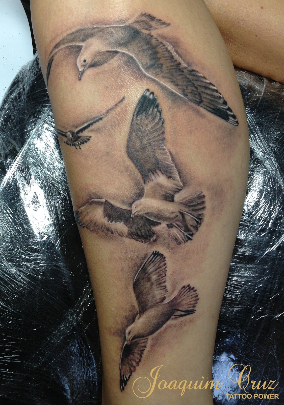 5 Meaningful Tattoo Ideas Inspired by Jonathan Livingston Seagull