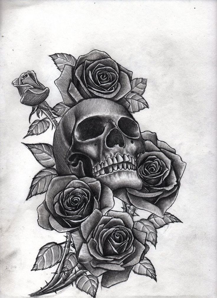 Tattoo Roses Skulls Lovely Rose Skull Tattoo Pinterest Keyword