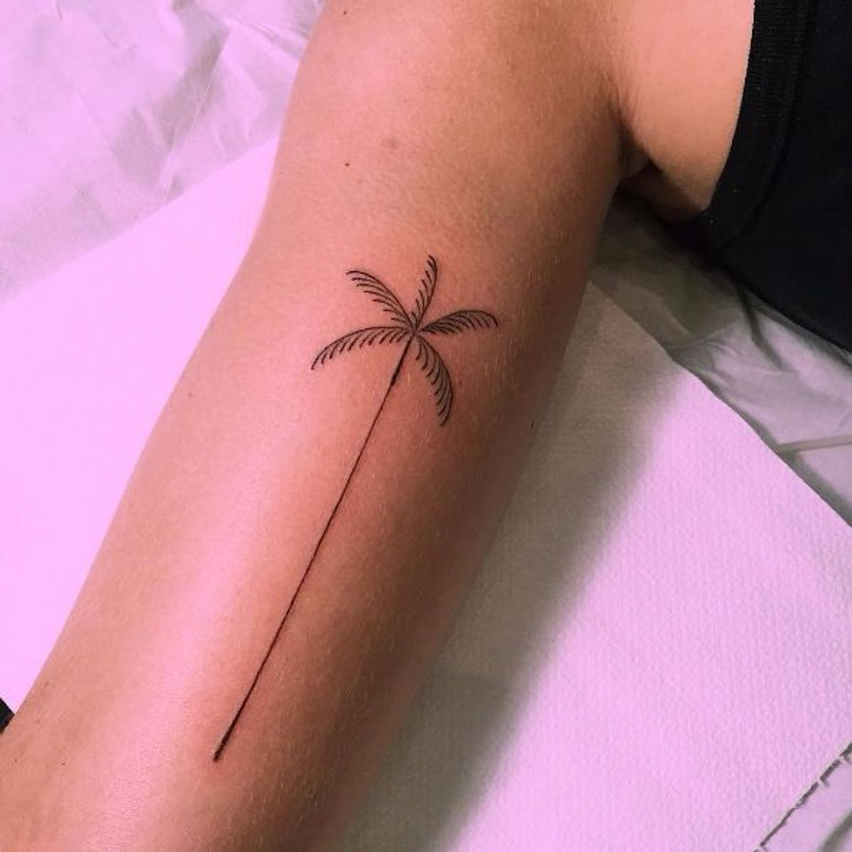 Tattoo Uploaded By Jentheripper Minimalistic Palm Tree Tattoo By