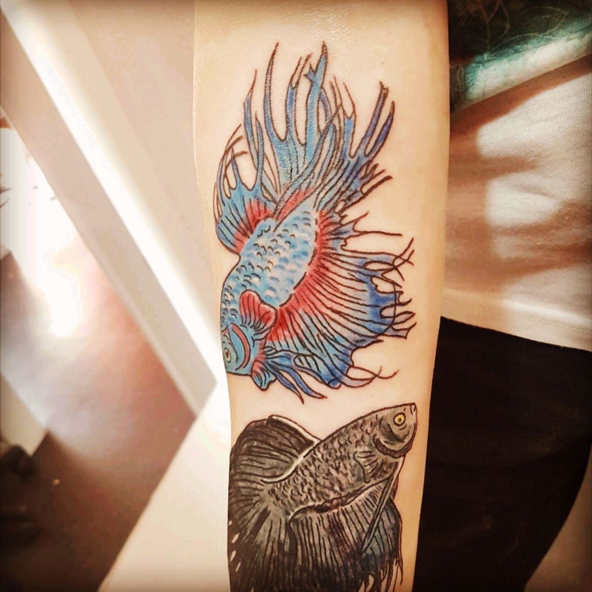 Tattoo Uploaded By Wolt Gene Japanese Fighting Fish Tattoodo