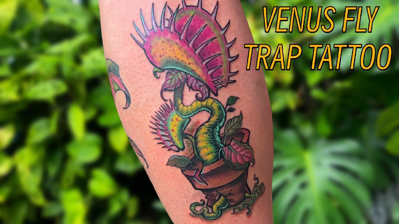 Tattoo Vlog Venus Fly Trap In A New School Style Youtube