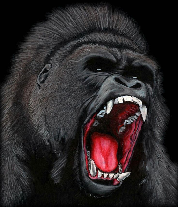 5 Stunning Silverback Gorilla Tattoo Designs You'll Love