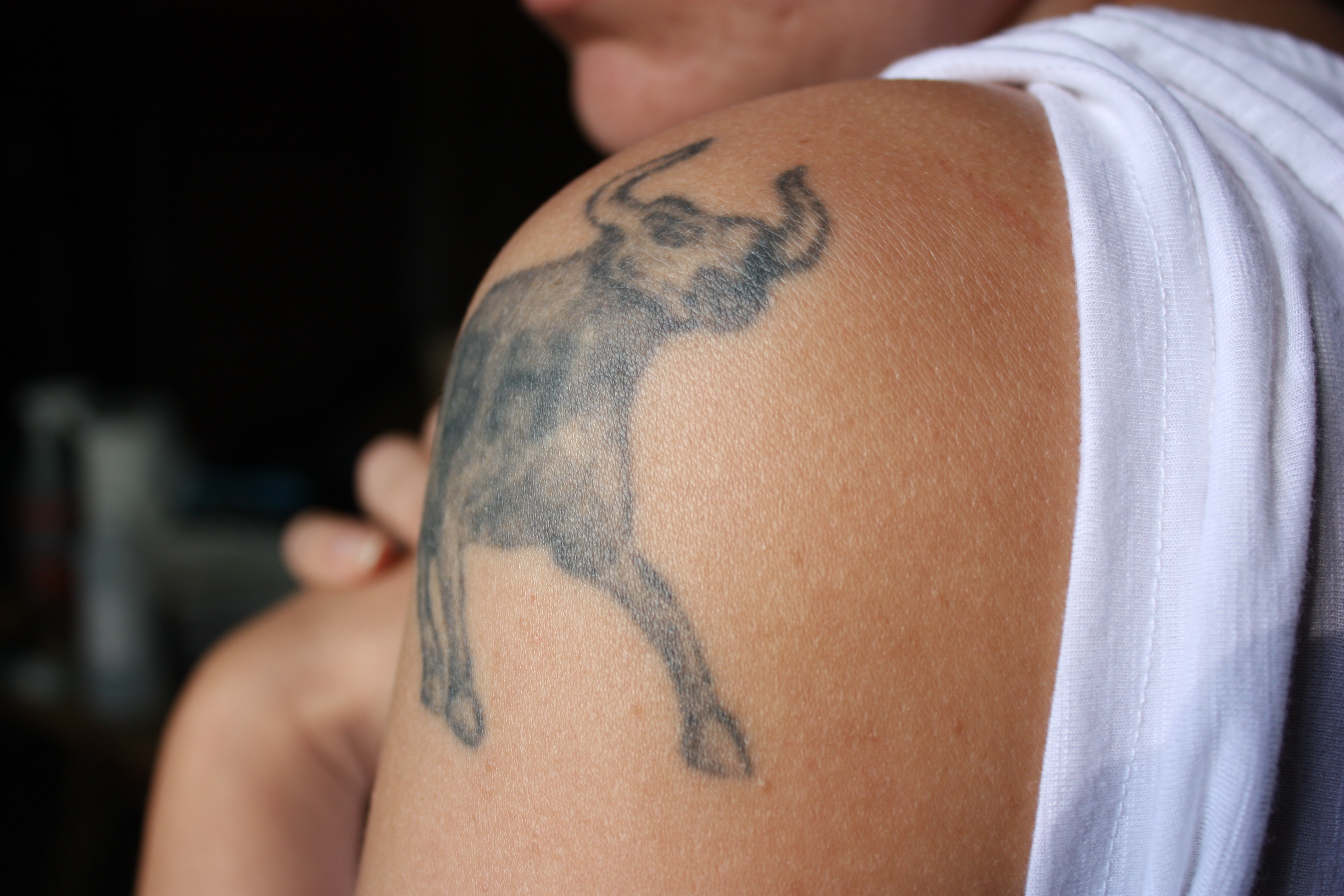 Inspiring Taurus Bull Tattoo Designs for Zodiac Enthusiasts