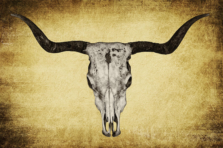 Texas Longhorn Skull Mixed Media By Mark Kiver Pixels