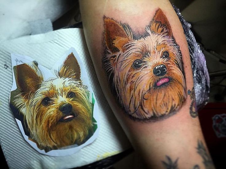 The 10 Coolest Yorkshire Terrier Tattoo Designs In The World Sonderlives