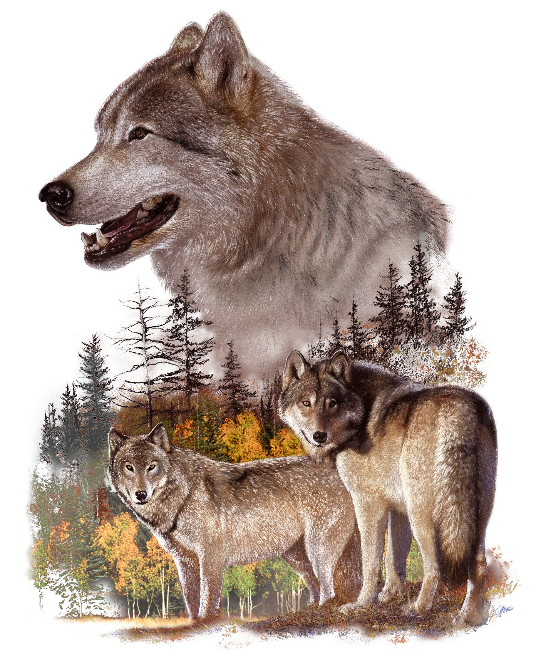 The Hidden Meaning Behind Wolf Tattoos Symbolism And Significance In