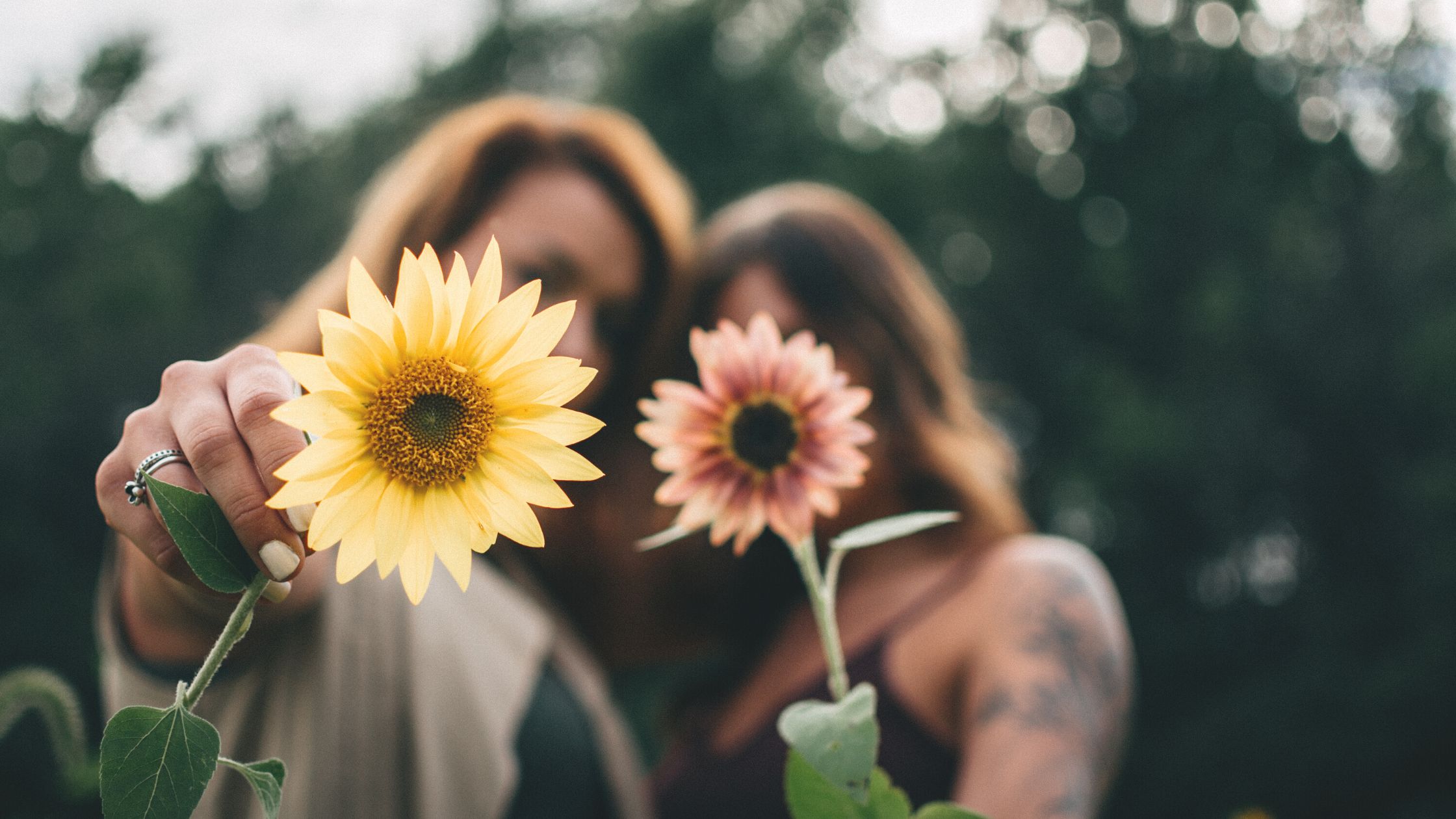 The Shadow Of Two People Holding Flowers Is Cast On The Ground In Front