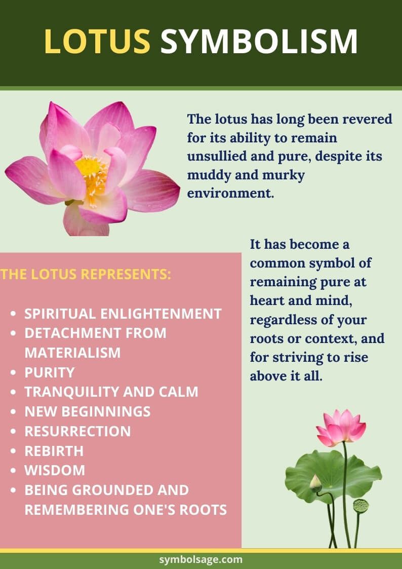 The Significance And Symbolism Of Lotus Flower Tattoos 2022