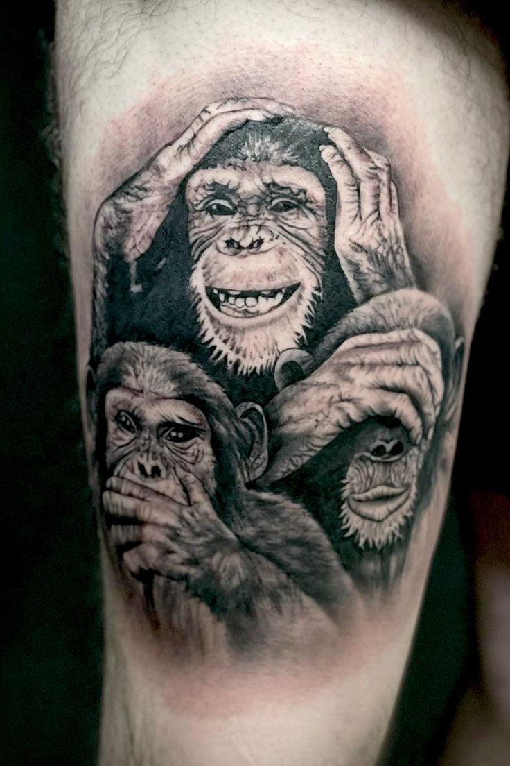 Three Wise Monkeys Tattoo Design On The Side Of A Woman S Arm With