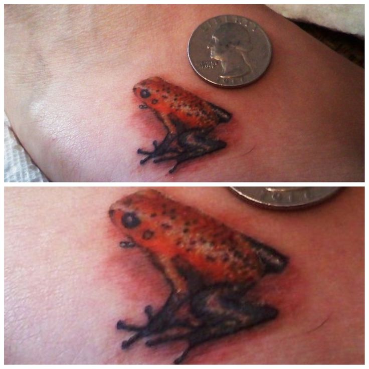 Tiny Realistic Poison Dart Frog Traepereztattoos Trae Perez Tattoos