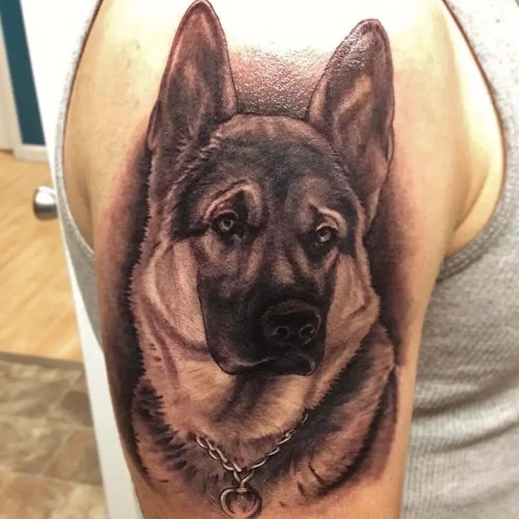 Top 23 German Shepherd Tattoos For Women And Men Petpress