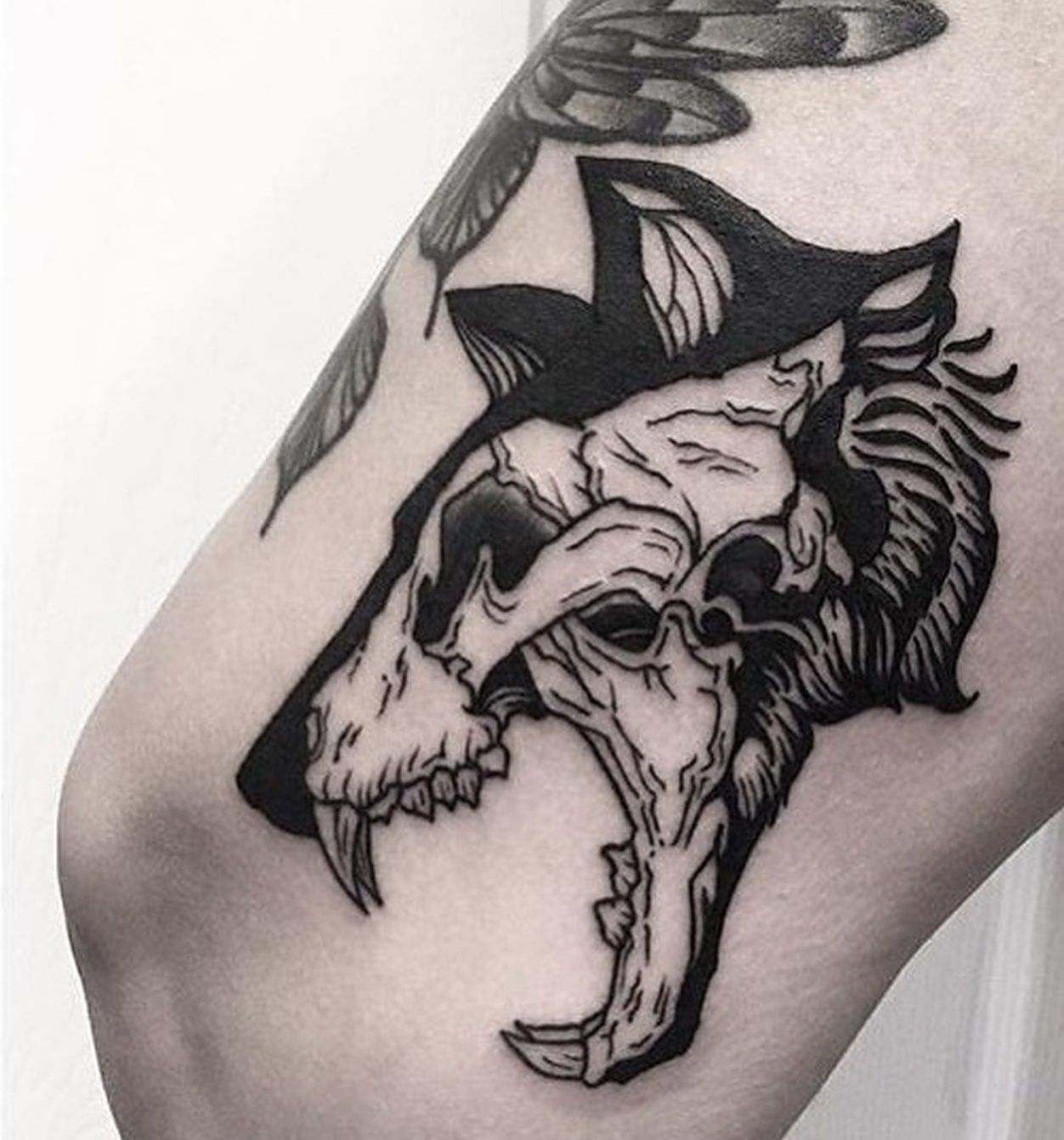 Top 30 Wolf Skull Tattoos Amazing Wolf Skull Tattoo Designs Ideas